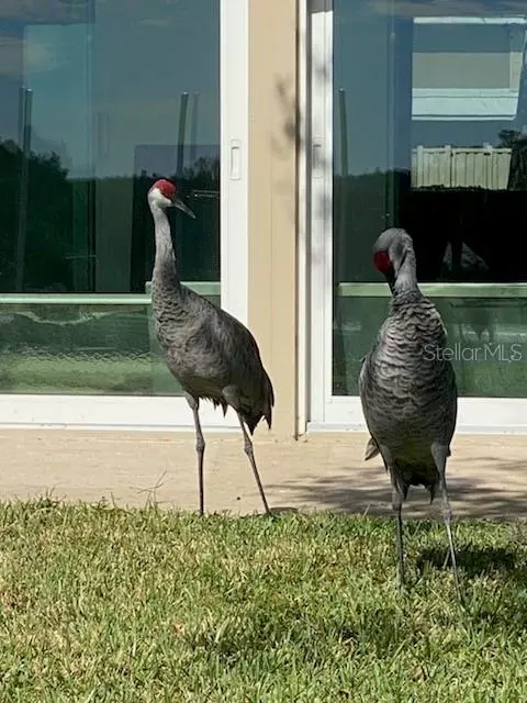 Crystal River, FL 34429,11550 W BAYSHORE DR #20