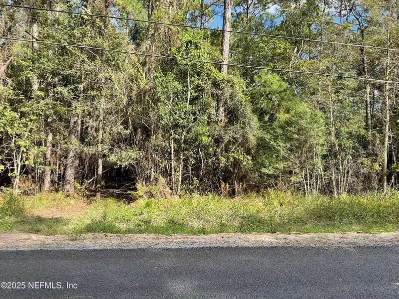 3089 VERONICA AVE, Middleburg, FL 32068