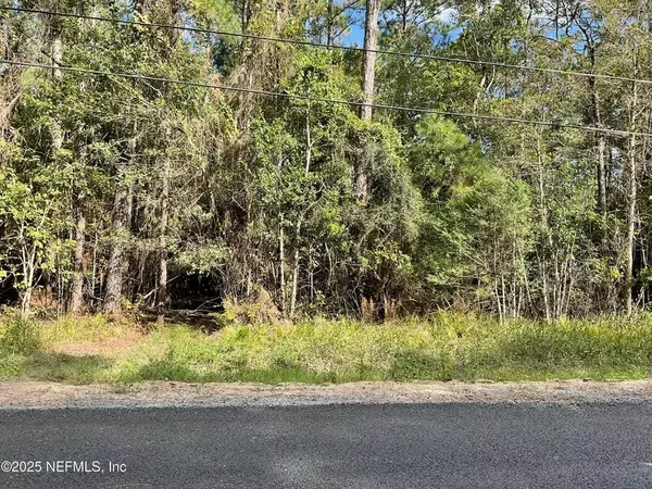 Middleburg, FL 32068,3089 VERONICA AVE