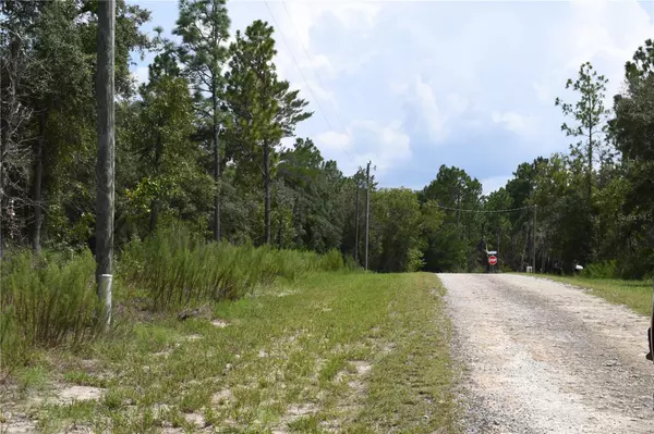 Dunnellon, FL 34431,TBD SE 136TH AVE