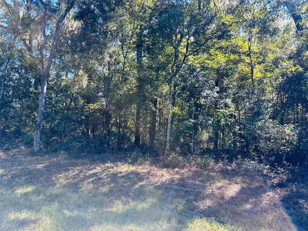 Chiefland, FL 32626,0 NW 86 ST