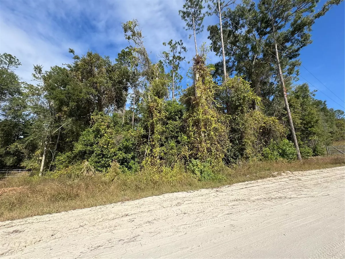 Fort White, FL 32038,LOT 45 SW KENTUCKY ST
