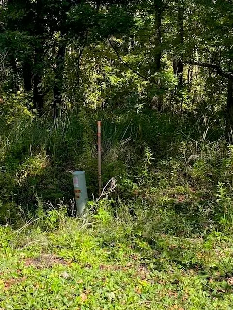 Alachua, FL 32615,19611 NW 75TH ST