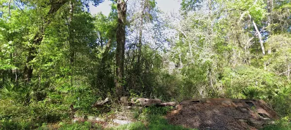 Old Town, FL 32680,000 926TH ST