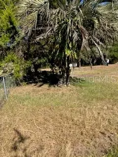 Interlachen, FL 32148,126 YEATTS AVE