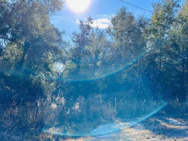 Chiefland, FL 32626,0 NW 126 ST