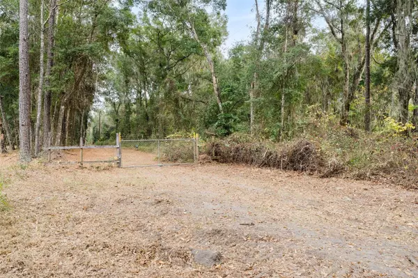 Hawthorne, FL 32640,SE 225TH DR