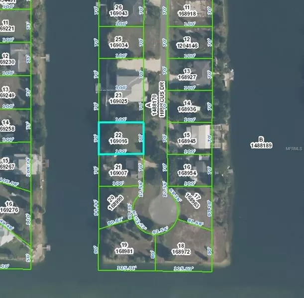 3191 HIBISCUS DR, Hernando Beach, FL 34607