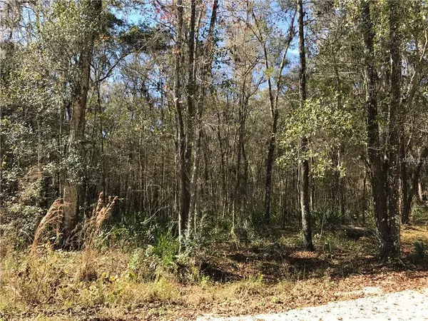 0 BUBBLES LN, Brooksville, FL 34601