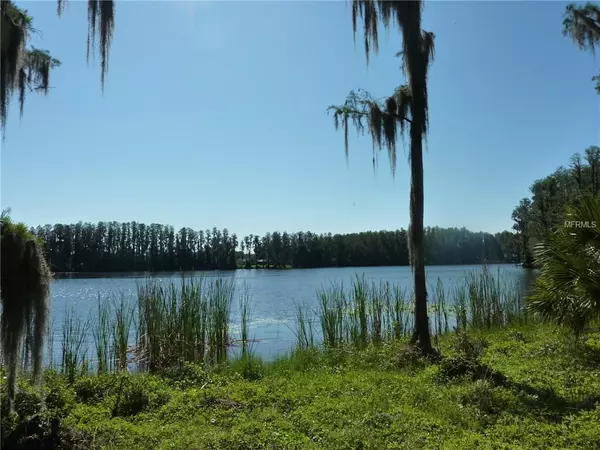 Land O Lakes, FL 34639,WISTERIA LOOP RD