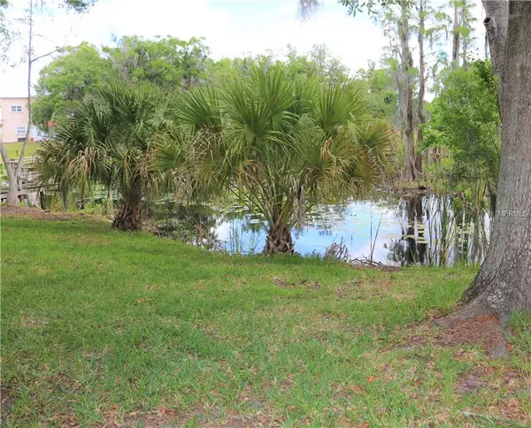 Lutz, FL 33549,21859 STATE ROAD 54 #200