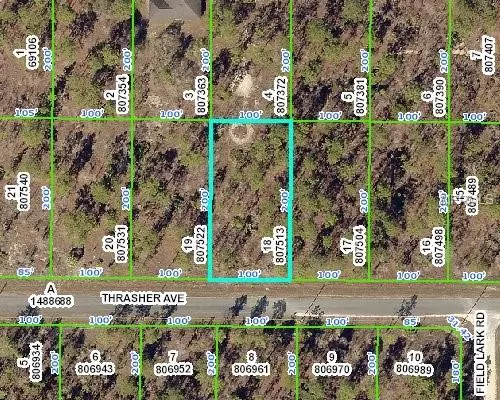 Weeki Wachee, FL 34614,13055 THRASHER AVE