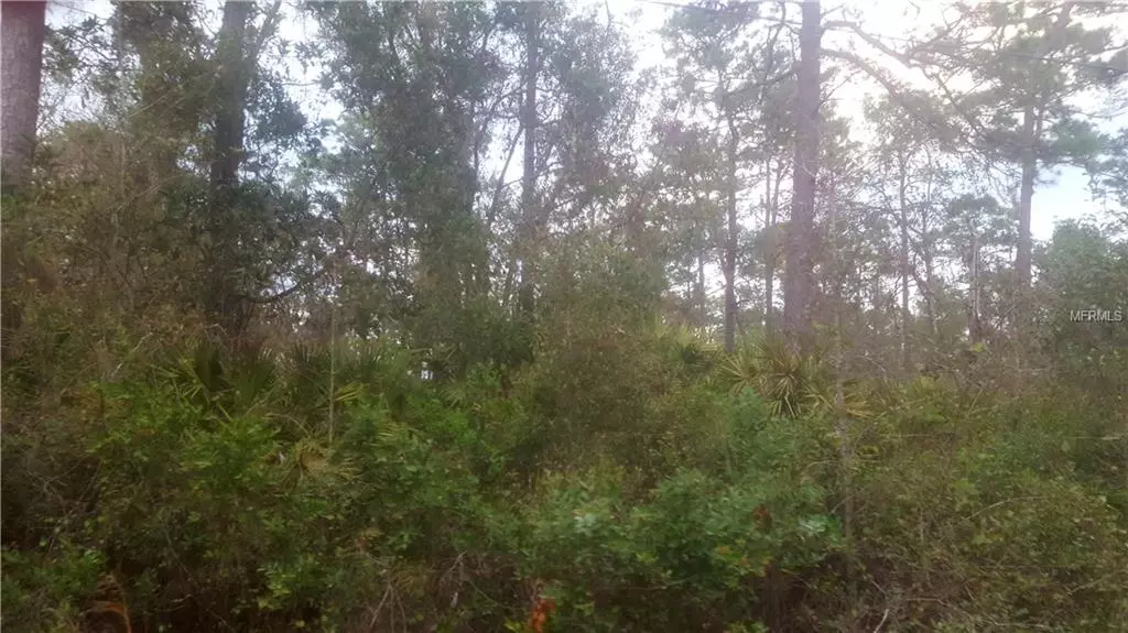 113 OLD SPANISH BLUFF TRL, East Palatka, FL 32131