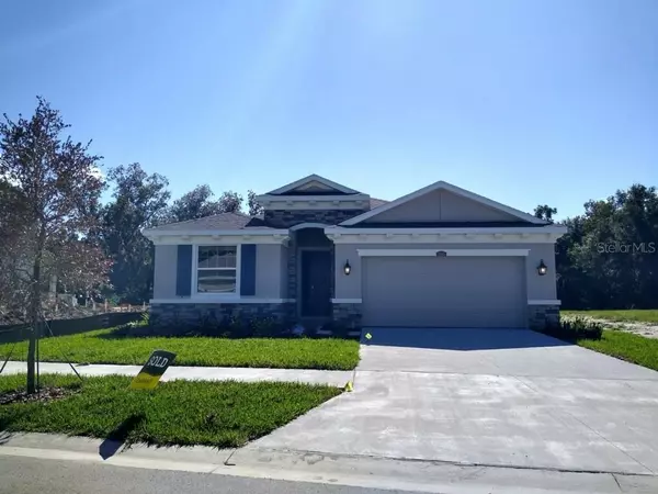 8308 PRAISE DR, Tampa, FL 33625