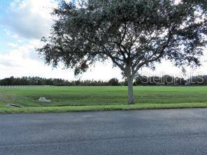 11591 TROTTING DOWN DR, Odessa, FL 33556
