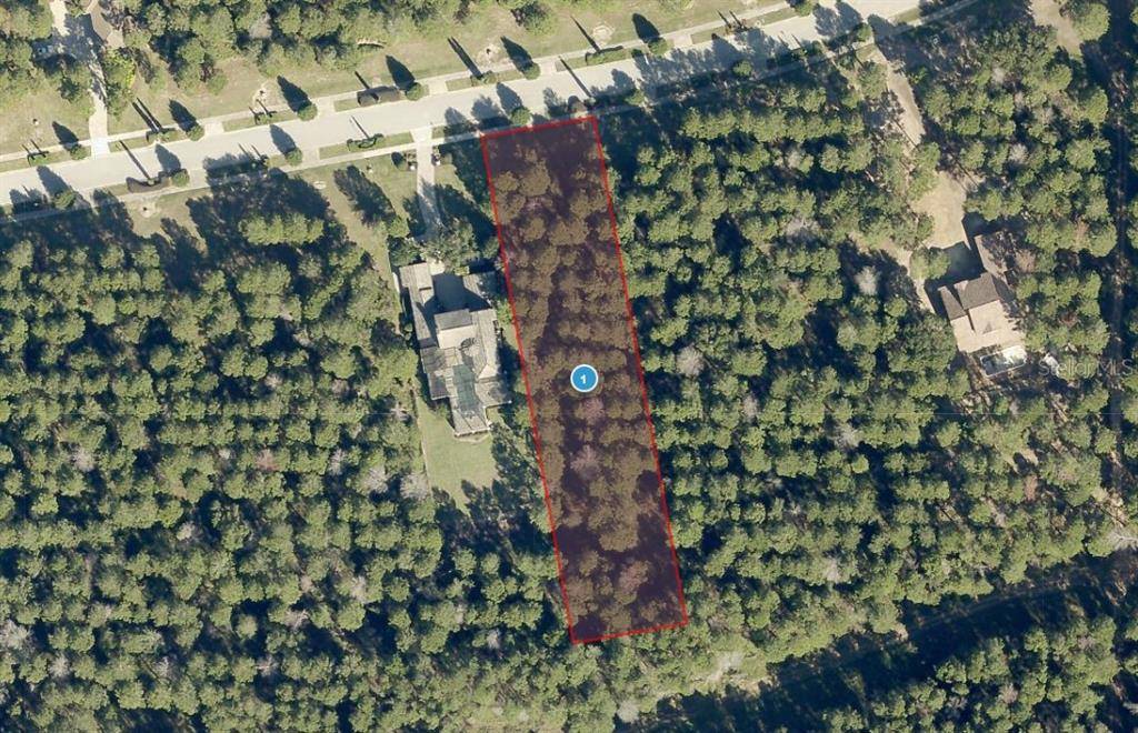 15202 PENDIO DR, Montverde, FL 34756