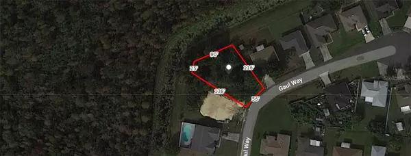 Kissimmee, FL 34759,GAUL WAY