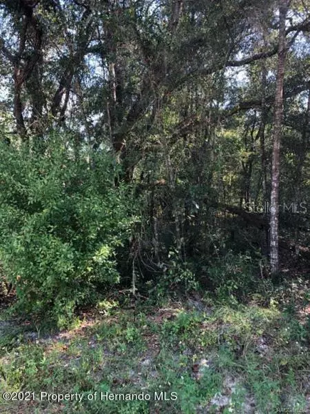 Inverness, FL 34453,35 S ROOKS AVE