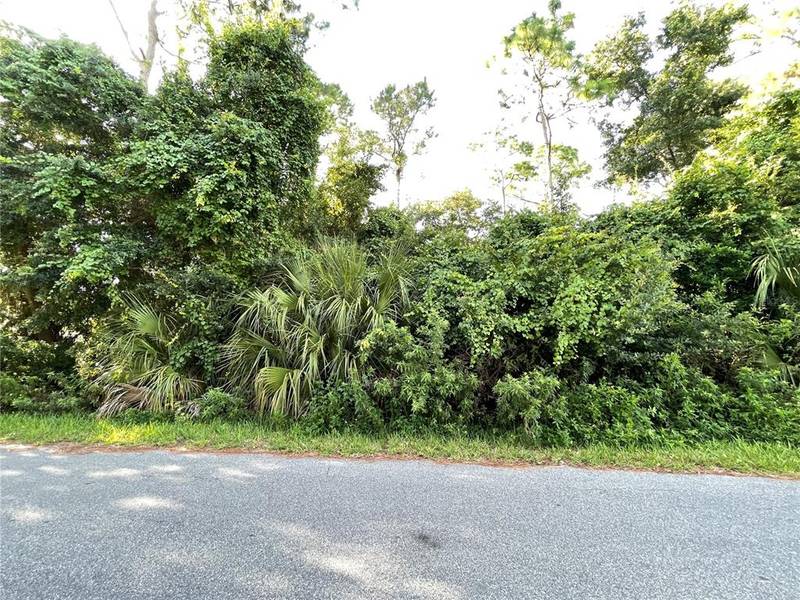 ALLEYCAT RD, Astor, FL 32102