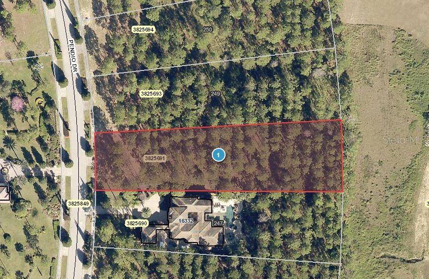 16336 PENDIO DR, Montverde, FL 34756