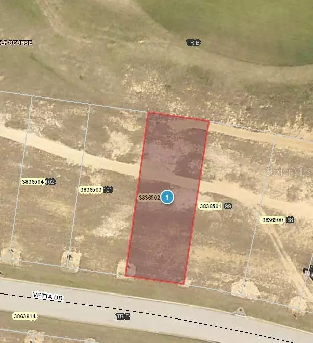 Montverde, FL 34756,15835 VETTA DR