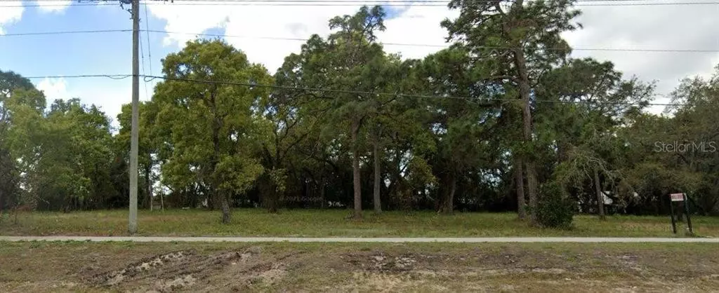 Port Richey, FL 34668,0 RIDGE RD