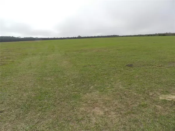 0 WILDS RD, Dade City, FL 33525