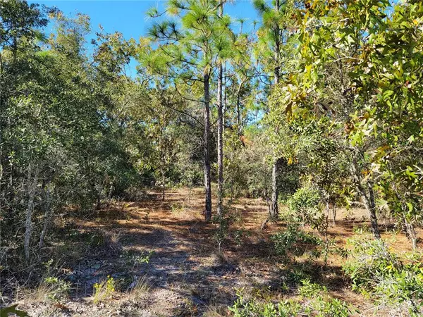 Weeki Wachee, FL 34613,9654 ROUGH BARK WAY