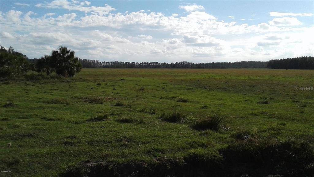 TBD CR 305, Bunnell, FL 32110