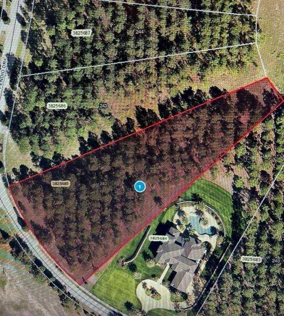 16306 PENDIO DR, Montverde, FL 34756
