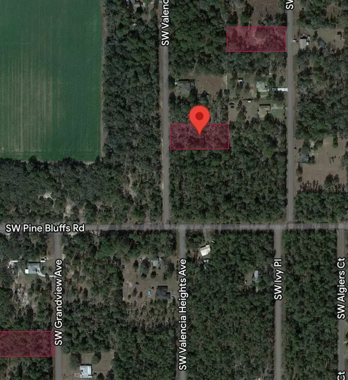 Dunnellon, FL 34431,0000