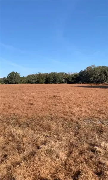 3868 SASSER RD, Zolfo Springs, FL 33890