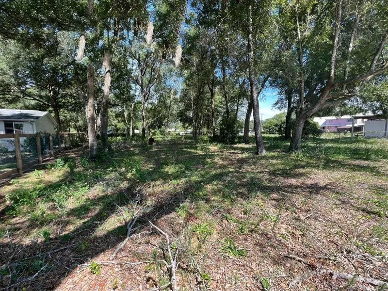 Lot 24 a/k/a 24F SE 158 CT, Ocklawaha, FL 32179