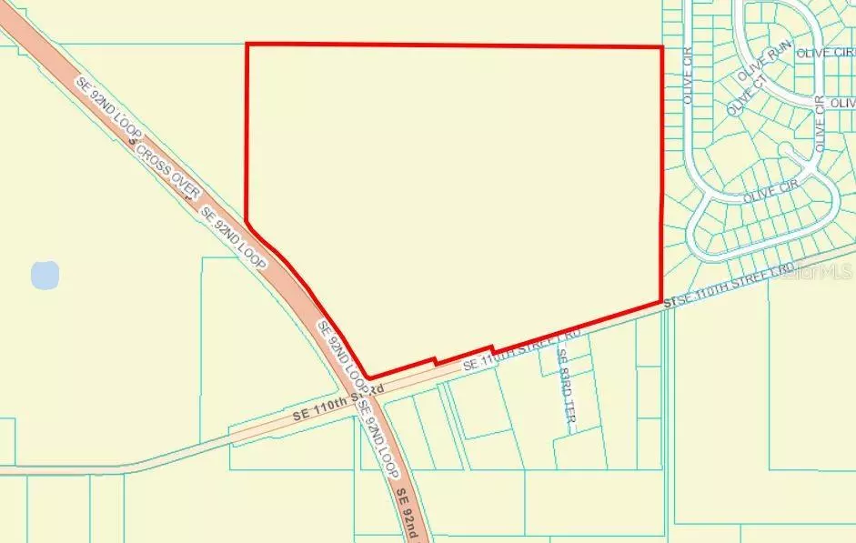 Belleview, FL 34420,00 SE 110TH STREET RD