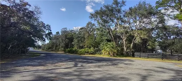 6169 W DRESSEL CT, Homosassa, FL 34446