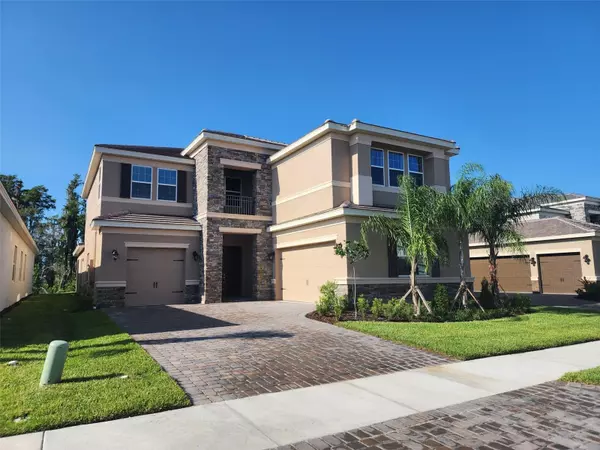 Wesley Chapel, FL 33543,32264 ROSEWOOD MEADOW LN