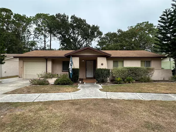 Odessa, FL 33556,Address not disclosed