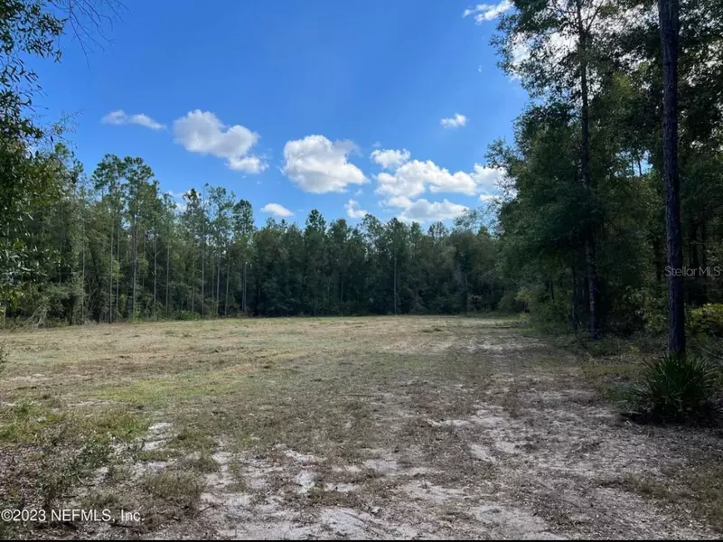 TBA SE 225TH DR, Hawthorne, FL 32640