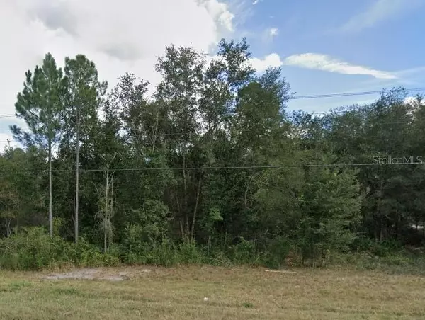 8218 TREIMAN BLVD, Webster, FL 33597