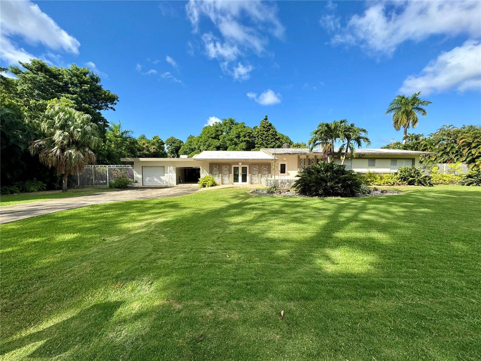 1 SAN PATRICIO CEREZO, Guaynabo, PR 00966
