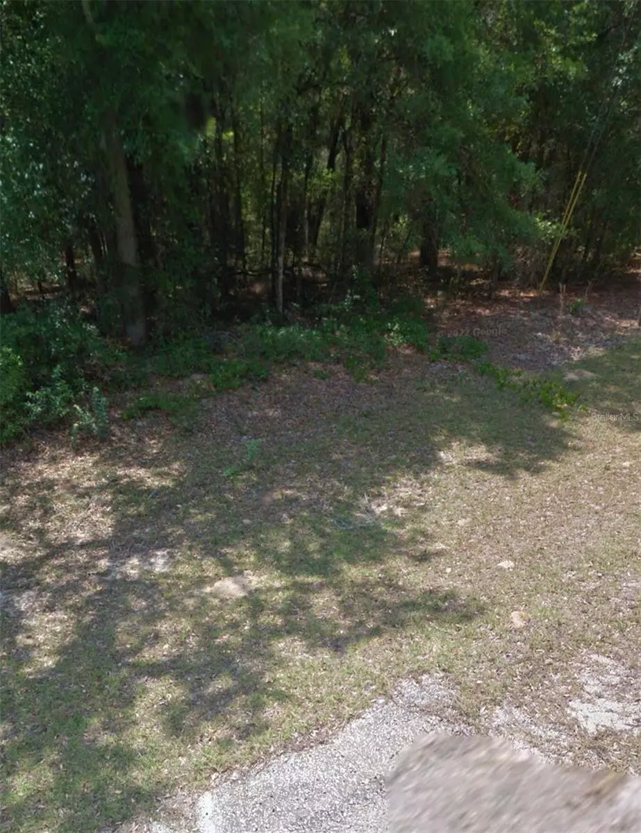 Dunnellon, FL 34434,1362 W STARBRIGHT PL