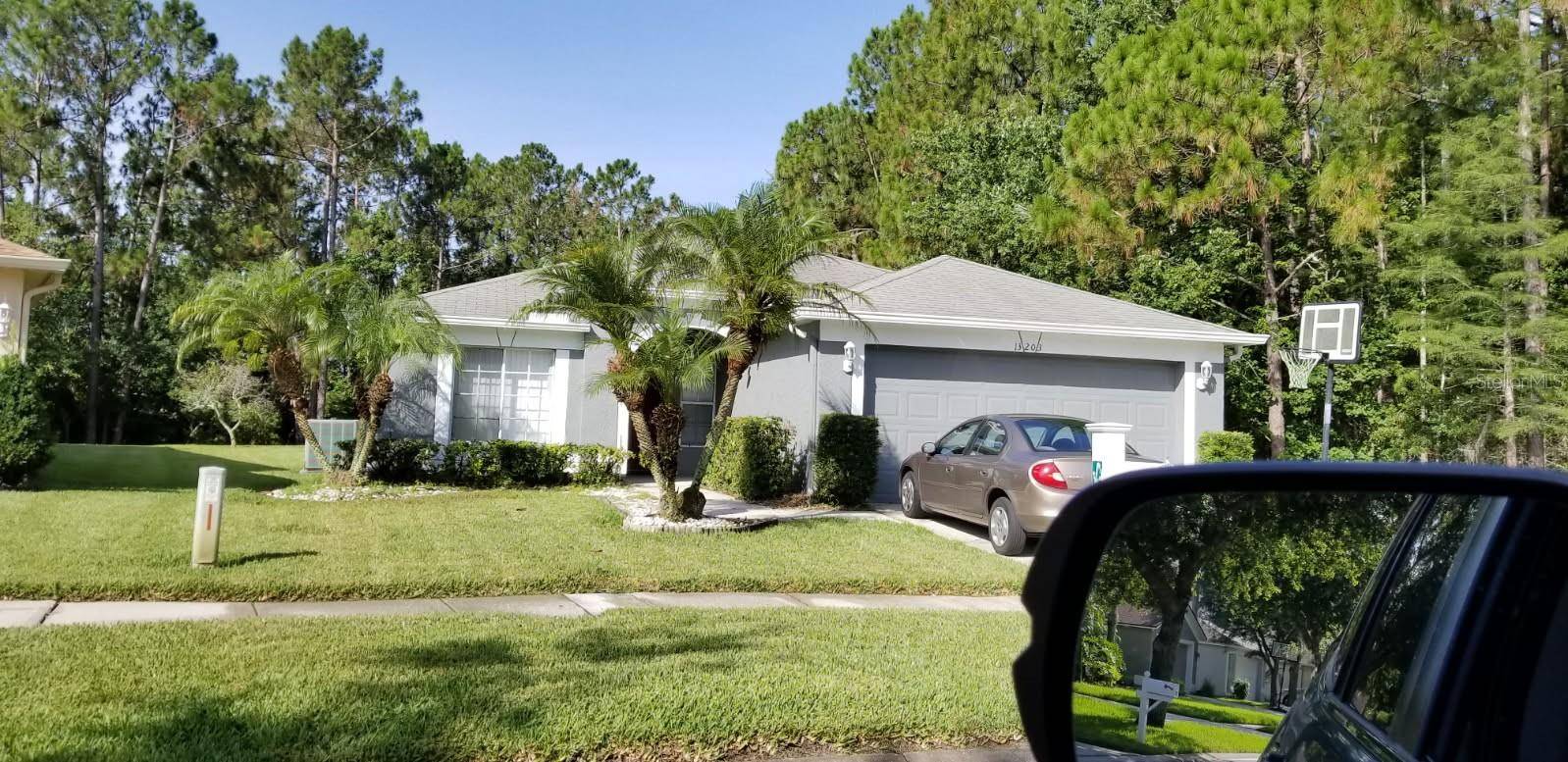 13203 ROYAL GEORGE AVE,  Odessa,  FL 33556