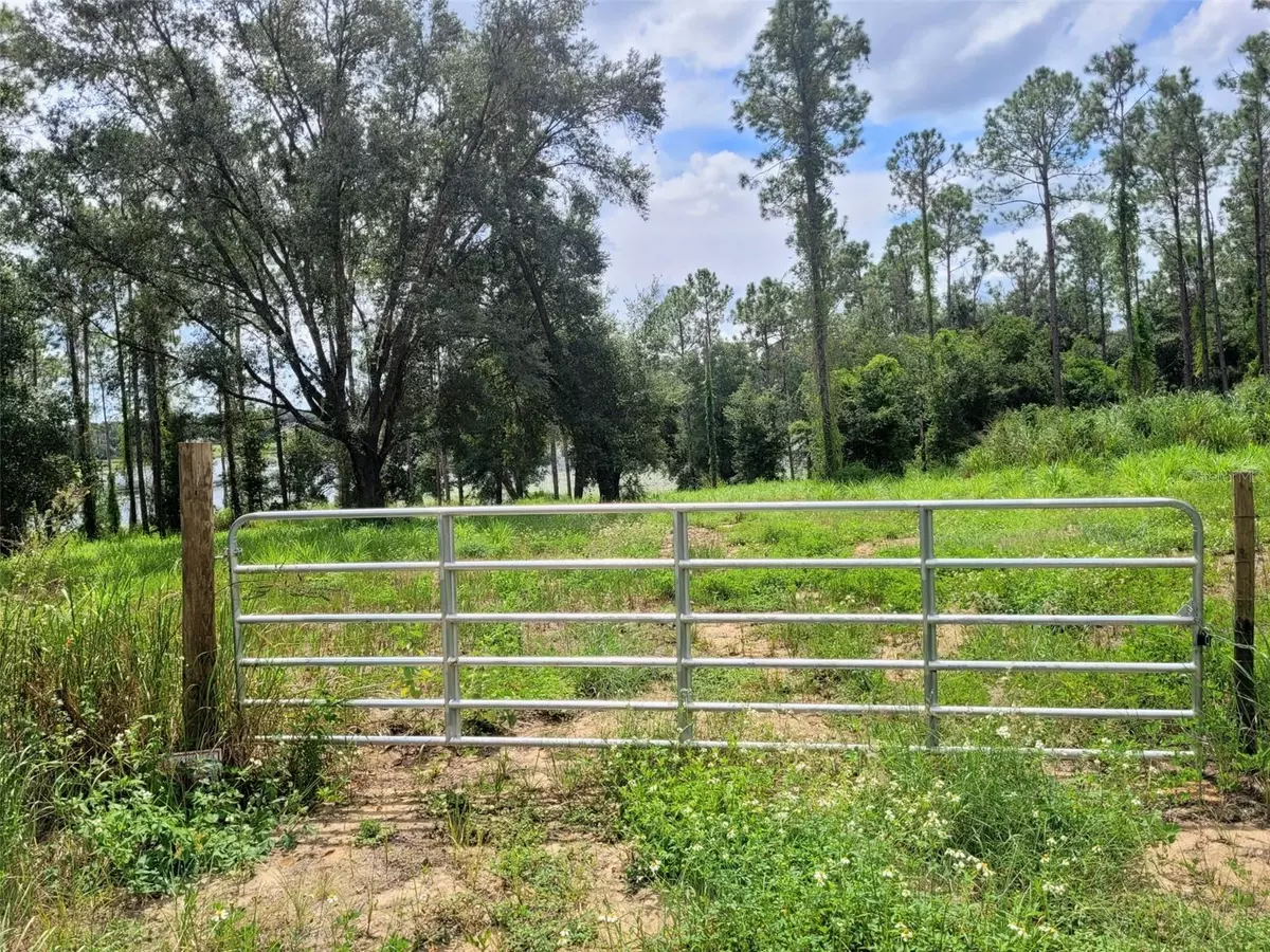 Altoona, FL 32702,KEENE LOT 4 RD