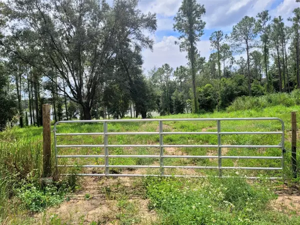 KEENE LOT 4 RD, Altoona, FL 32702
