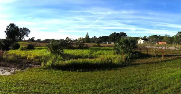 Lake Wales, FL 33898,PFUNDSTEIN RD