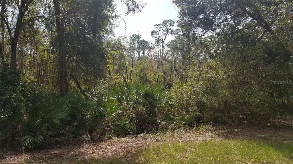 ARMADILLO RD, Frostproof, FL 33843