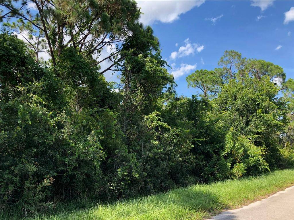 949 ARCHIE SUMMERS RD, Lake Placid, FL 33852