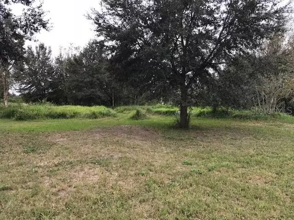 DEBBIE LN, Lake Wales, FL 33898