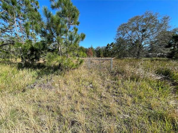 W FROSTPROOF RD, Frostproof, FL 33843