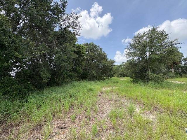 Lake Wales, FL 33898,ALMBURG RD